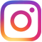 insta icon